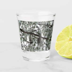 Verre A Shot Photo hivernale sous le pin couvert de neige