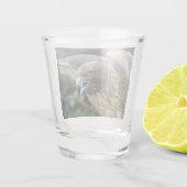 Verre A Shot Photo Raptor Hawk à queue rouge (Dos)