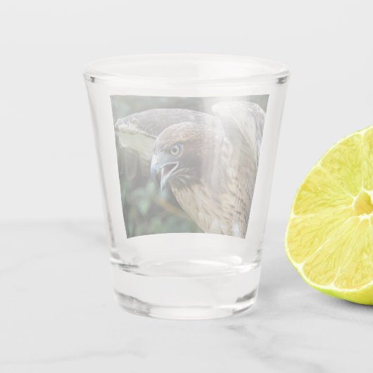 Verre A Shot Photo Raptor Hawk à queue rouge (Dos)