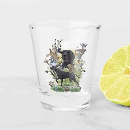 Verre A Shot Pointeurs germains (GSP) (Devant)
