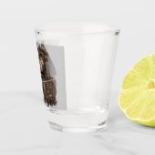 Verre A Shot Poitrine au trésor avec engrenages (Droite)