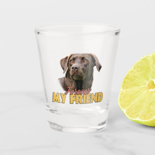 Verre A Shot Pour toujours mon ami Chocolat Labrador Chien