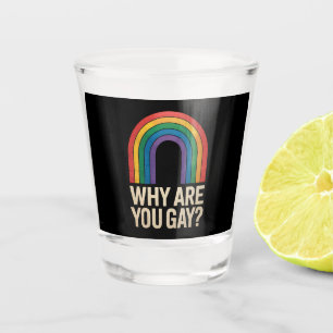 Verre A Shot Pourquoi êtes-vous gai Funny Rainbow LGBTQ Fierté