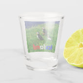 Verre A Shot Puffins (Dos)