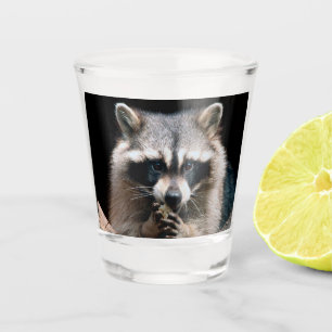 Verre A Shot Raccoon 004