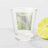 Verre A Shot Raccoon dans Green Tree Cute gris masqué raccoon (Dos)