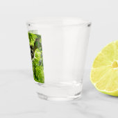 Verre A Shot Raccoon dans Green Tree Cute gris masqué raccoon (Droite)