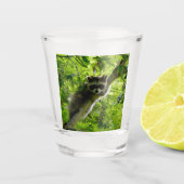 Verre A Shot Raccoon dans Green Tree Cute gris masqué raccoon (Devant)