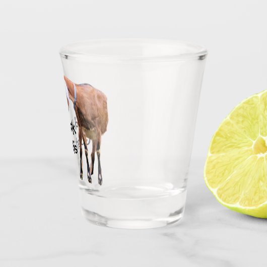 Verre A Shot Reculez, chèvre d'I ceci (Droite)