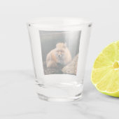 Verre A Shot Red Fox dormant (Dos)