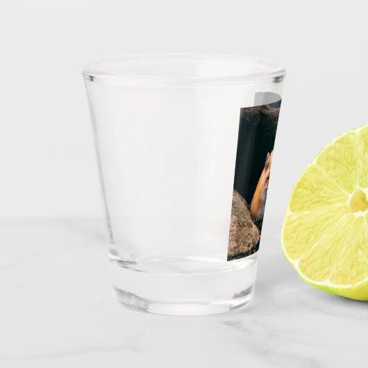 Verre A Shot Red Fox dormant (Gauche)