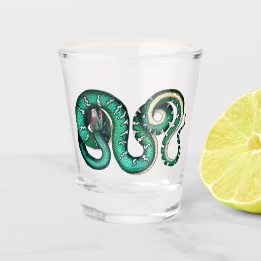 Verre A Shot reptile d'illustration de serpent Vintage (Devant)