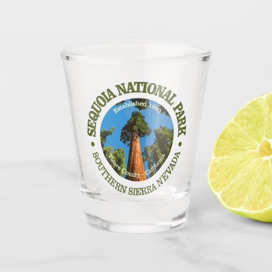 Verre A Shot Sequoia NP2 (Devant)