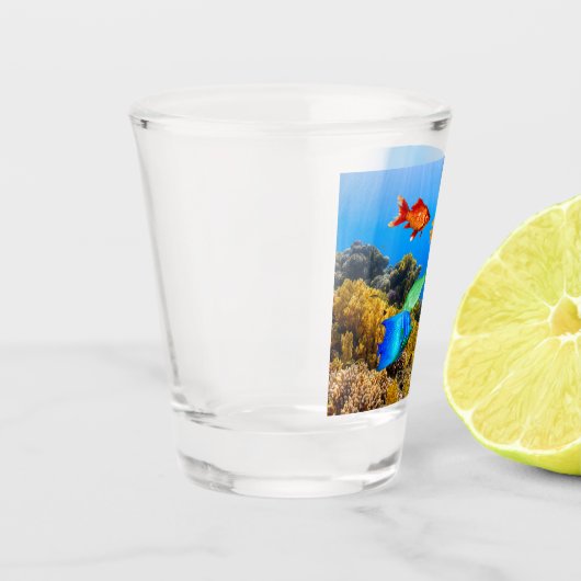 Verre A Shot SlipperyJoe's Fish Pride tropicale vert bleu pourp (Gauche)