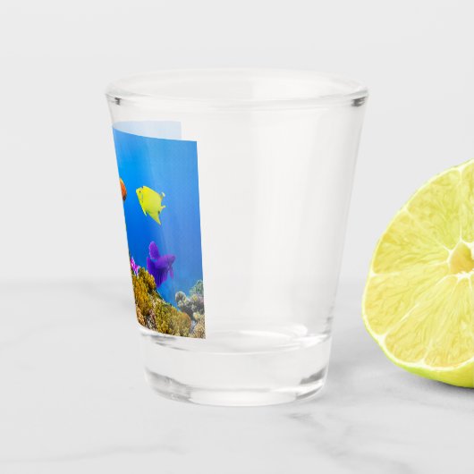 Verre A Shot SlipperyJoe's Fish Pride tropicale vert bleu pourp (Droite)