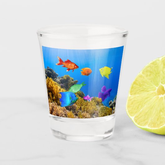 Verre A Shot SlipperyJoe's Fish Pride tropicale vert bleu pourp (Devant)