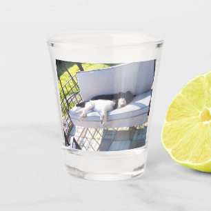 Verre A Shot sommeil du groupe de laboratoires