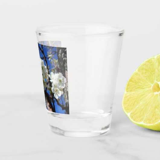 Verre A Shot Spring Flowering Pear Tree (Droite)