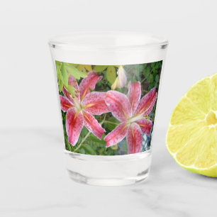 Verre A Shot Stargazer Lilies Jardin Floral