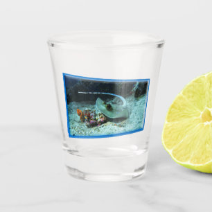Verre A Shot Stingray en mouvement - Design photographique