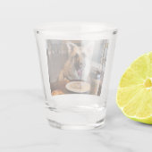 Verre A Shot T'es-tu procuré quelque chose (Dos)