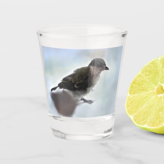Verre A Shot Tidi my Bird le Parus Major (Devant)