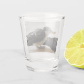 Verre A Shot Tidi my Bird le Parus Major (Dos)