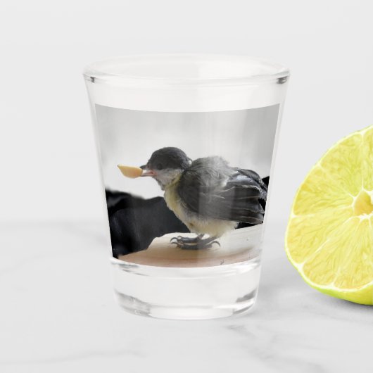 Verre A Shot Tidi my Bird le Parus Major (Devant)