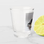 Verre A Shot Tidi my Bird le Parus Major (Gauche)