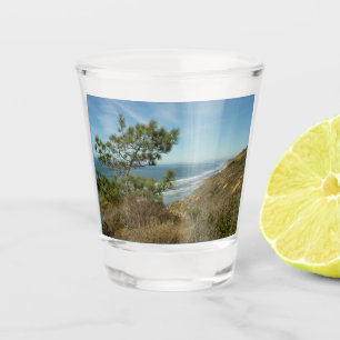 Verre A Shot Torrey Pine and California Coastline Landscape
