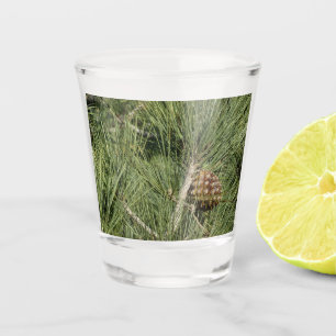 Verre A Shot Torrey Pine gros plan Californie botanique