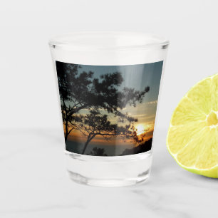 Verre A Shot Tourrey Pine Sunset I California Paysage