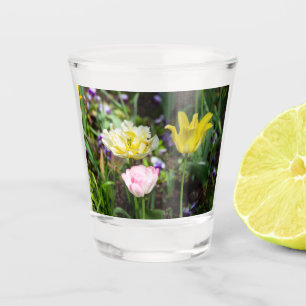 Verre A Shot Tulipes blanches, roses et jaunes dans le jardin