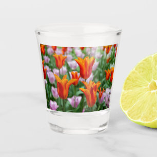 Verre A Shot Tulipes orange vif dans le parc