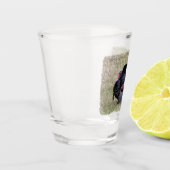 Verre A Shot Turquie sauvage (Gauche)