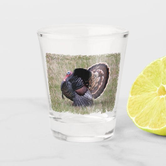 Verre A Shot Turquie sauvage (Devant)