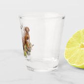 Verre A Shot Un aristocrate polyvalent dans la Vizsla hongroise (Droite)
