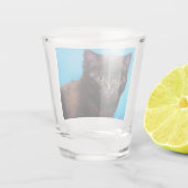 Verre A Shot Van Gogh Chat et fleurs (Dos)