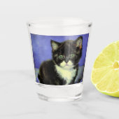 Verre A Shot Van Gogh Tuxedo Kitten (Devant)