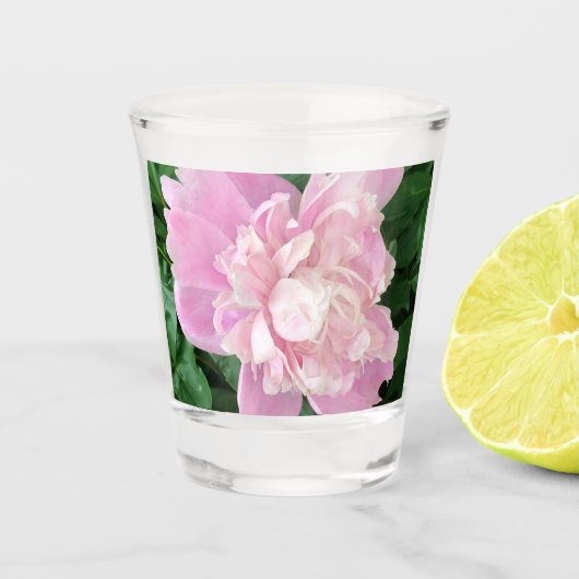 Verre A Shot Verre à shot Pivoine (Devant)