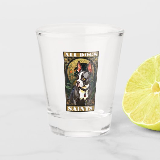 Verre A Shot Vitre (Devant)