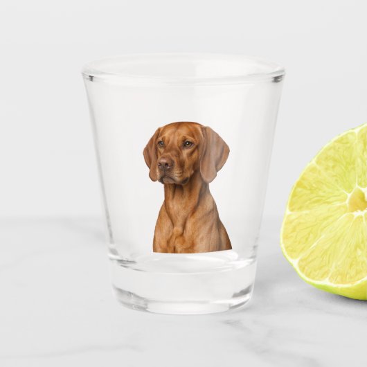Verre A Shot Vizsla Dog Shot Glass (Devant)