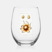 Verre À Vin Sans Pied cillisbryngac (Recto)