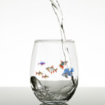 Verre À Vin Sans Pied Poisson Tropical Funny Cute Aquarium<br><div class="desc">Cette conception a été créée par art numérique. Elle peut être personnalisée dans la zone fournir ou customiser en choisissant le clic pour customiser une autre option et en changeant le nom, les initiales ou les mots. Vous pouvez également modifier la couleur et le style du texte ou supprimer le...</div>