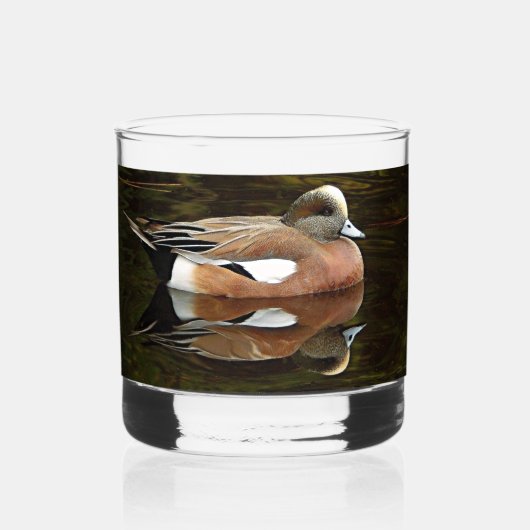 Verre À Whisky American Wigeon Duck on Pond (Recto)