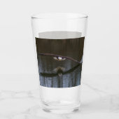 Verre Aigle de Bald en vol (Devant)