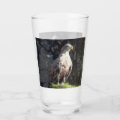 Verre Aigle majestueux à queue blanche falaise sauvage e (Dos)