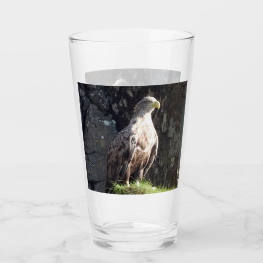 Verre Aigle majestueux à queue blanche falaise sauvage e (Devant)