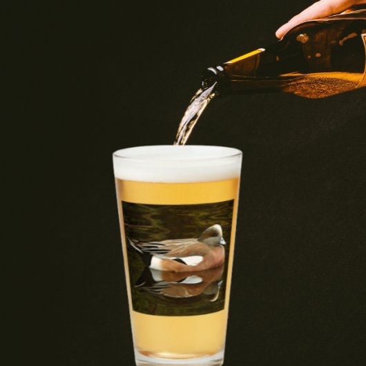 Verre American Wigeon Duck on Pond