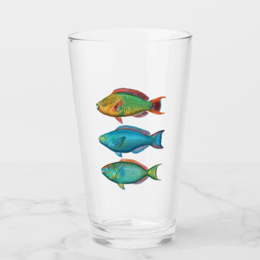 Verre arc-en-ciel, Queen et Stoplight Parrotfish (Devant)